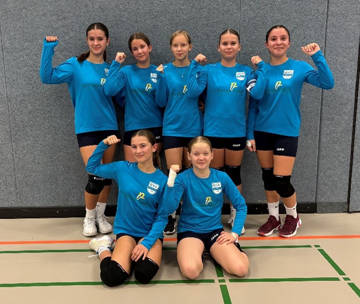 SV Amstetten Berichte Faustball